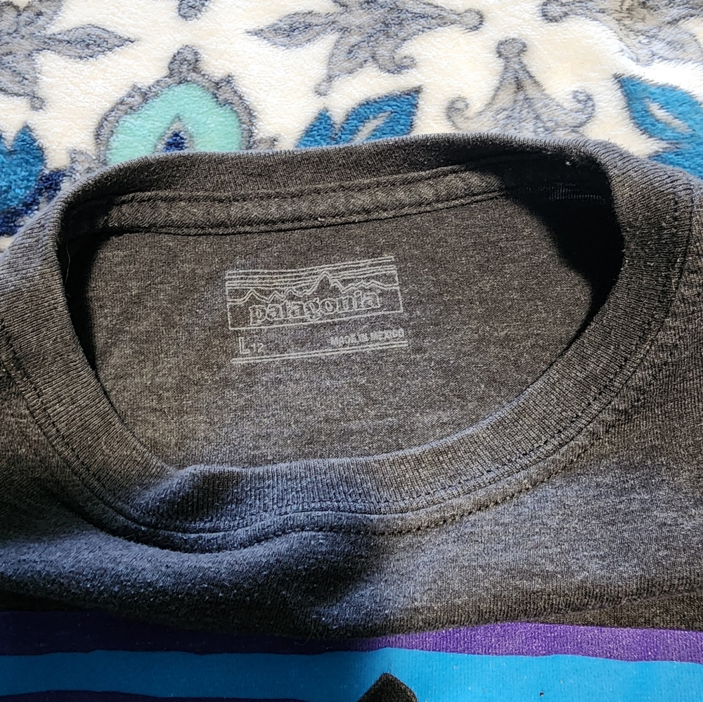 SOLD Boys Patagonia LS tshirt, large/12